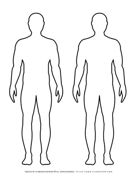 male body outline|male body outline drawing.